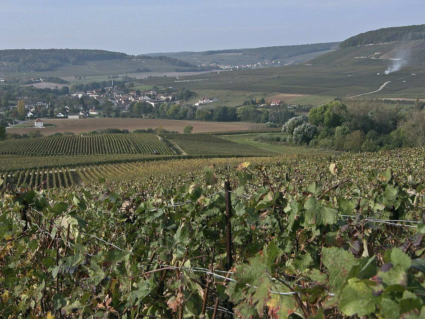 Vallée de l’Ardre & églises romanes — à visiter depuis le gîte